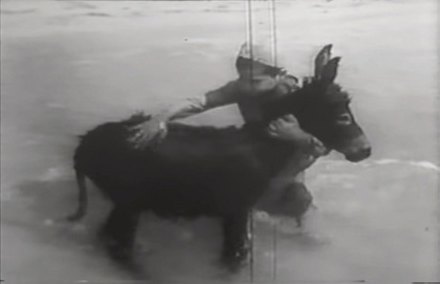 Still from Bim, the Little Donkey