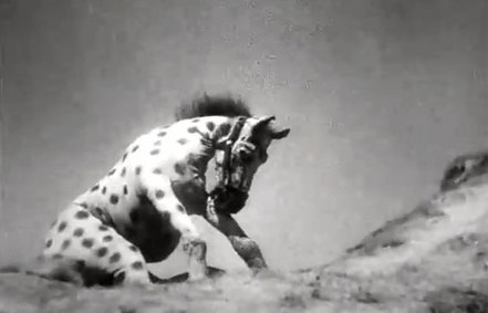 Still from Schastye