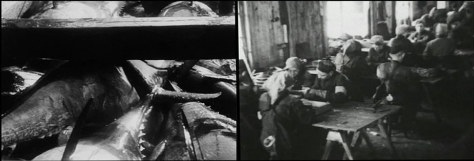 Stills from Stromboli and Respite side by side