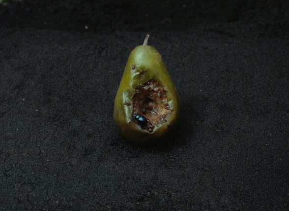 Still from The Annunciation of Marie (1991)